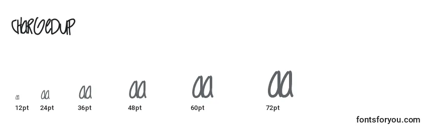 Chargedup Font Sizes