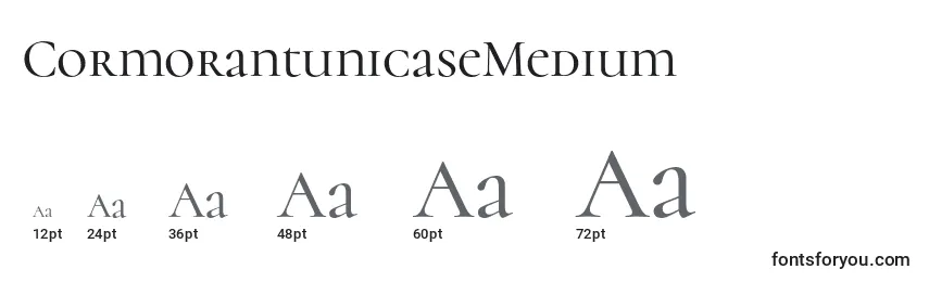 Размеры шрифта CormorantunicaseMedium