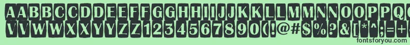 AAlbionictitulcmjgg Font – Black Fonts on Green Background