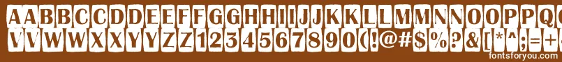 AAlbionictitulcmjgg Font – White Fonts on Brown Background