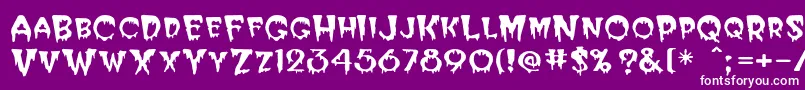 Elviria Font – White Fonts on Purple Background