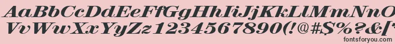 RubyscriptbroadxboldRegular Font – Black Fonts on Pink Background