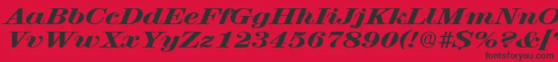 RubyscriptbroadxboldRegular Font – Black Fonts on Red Background