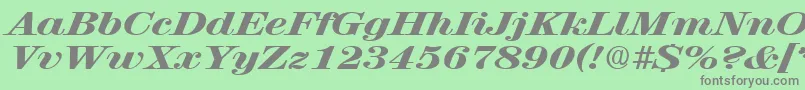 RubyscriptbroadxboldRegular Font – Gray Fonts on Green Background