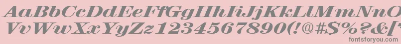 RubyscriptbroadxboldRegular Font – Gray Fonts on Pink Background