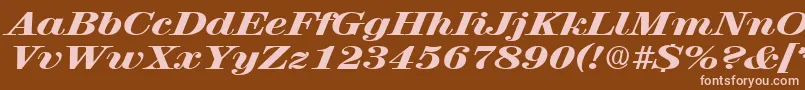 RubyscriptbroadxboldRegular Font – Pink Fonts on Brown Background