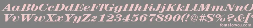 RubyscriptbroadxboldRegular Font – Pink Fonts on Gray Background