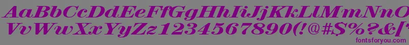 RubyscriptbroadxboldRegular Font – Purple Fonts on Gray Background