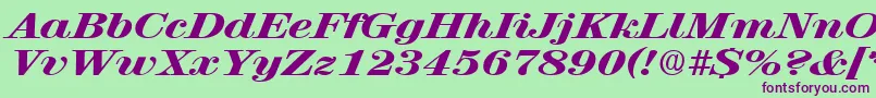 RubyscriptbroadxboldRegular Font – Purple Fonts on Green Background