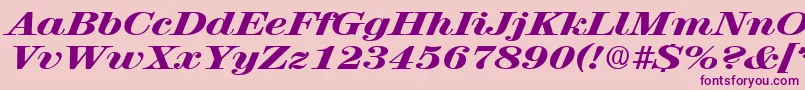 RubyscriptbroadxboldRegular Font – Purple Fonts on Pink Background