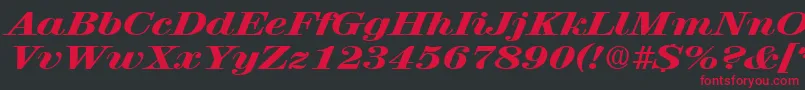 Czcionka RubyscriptbroadxboldRegular – czerwone czcionki na czarnym tle