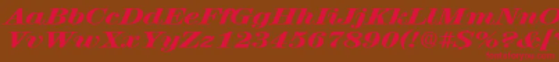 RubyscriptbroadxboldRegular Font – Red Fonts on Brown Background