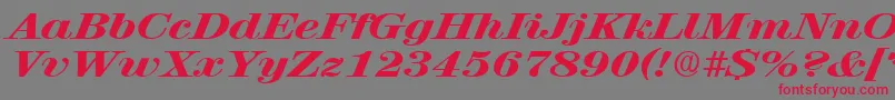 RubyscriptbroadxboldRegular Font – Red Fonts on Gray Background