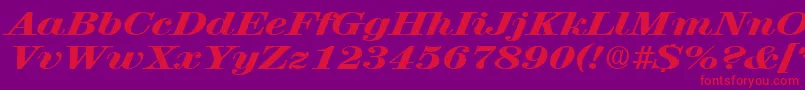 フォントRubyscriptbroadxboldRegular – 紫の背景に赤い文字