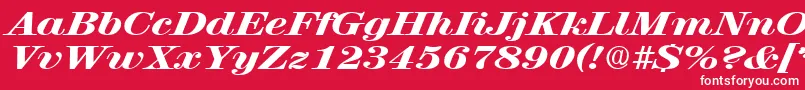 RubyscriptbroadxboldRegular Font – White Fonts on Red Background