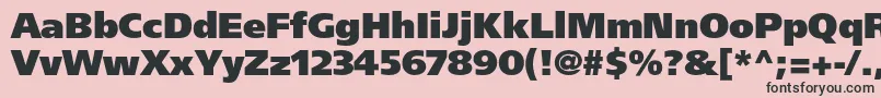 フォントFrutigerltstdUltrablack – ピンクの背景に黒い文字