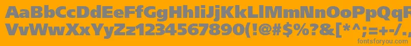 FrutigerltstdUltrablack Font – Gray Fonts on Orange Background