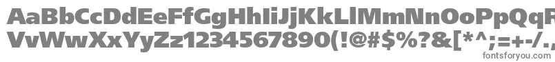 Шрифт FrutigerltstdUltrablack – серые шрифты