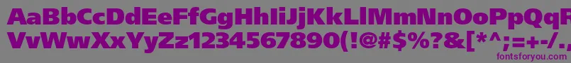 FrutigerltstdUltrablack Font – Purple Fonts on Gray Background