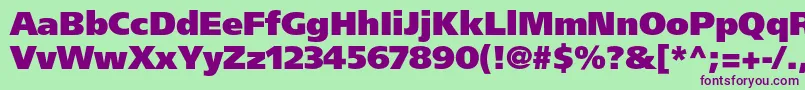 FrutigerltstdUltrablack Font – Purple Fonts on Green Background
