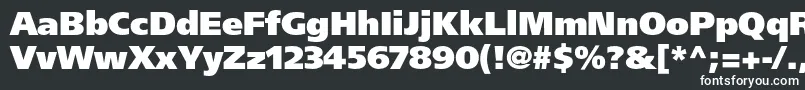 Шрифт FrutigerltstdUltrablack – белые шрифты на чёрном фоне