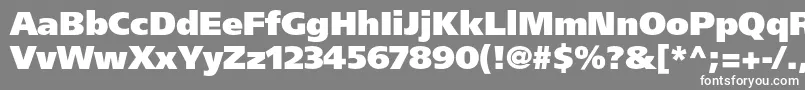 FrutigerltstdUltrablack Font – White Fonts on Gray Background
