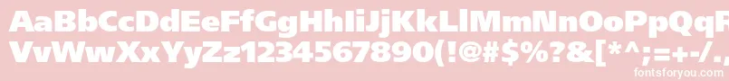 FrutigerltstdUltrablack Font – White Fonts on Pink Background