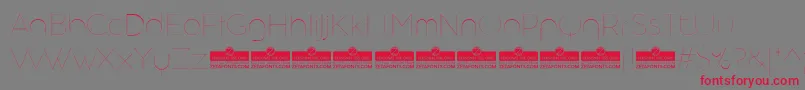 フォントAristotelicaDisplayHairlineTrial – 赤い文字の灰色の背景