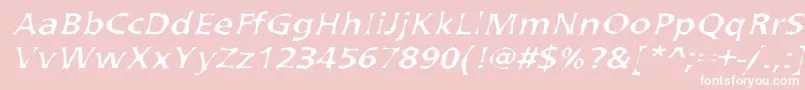 ArvadaNormal Font – White Fonts on Pink Background