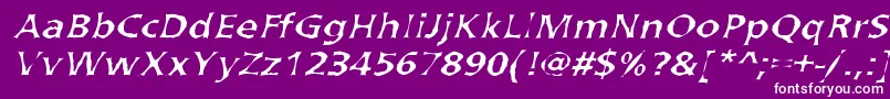 ArvadaNormal Font – White Fonts on Purple Background