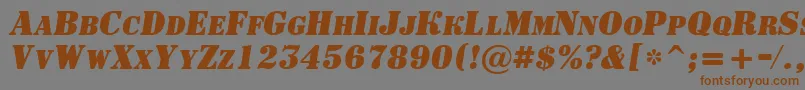 ASignboardcpsBolditalic Font – Brown Fonts on Gray Background