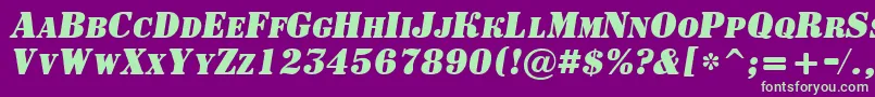 ASignboardcpsBolditalic Font – Green Fonts on Purple Background