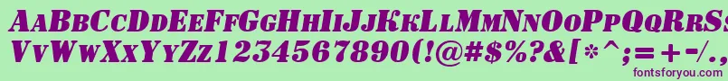 ASignboardcpsBolditalic Font – Purple Fonts on Green Background