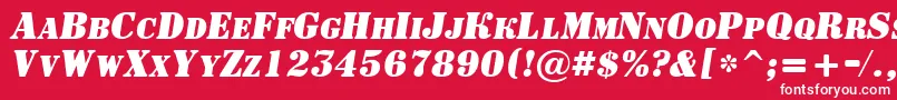 フォントASignboardcpsBolditalic – 赤い背景に白い文字