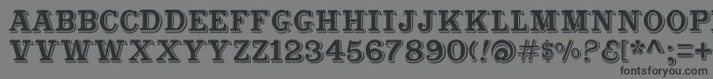 Cabbagetownstd Font – Black Fonts on Gray Background