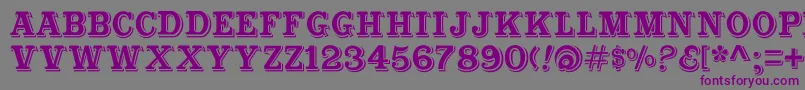 Шрифт Cabbagetownstd – фиолетовые шрифты на сером фоне