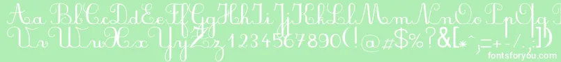 Plumbal Font – White Fonts on Green Background