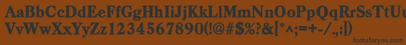 CasadlhBold Font – Black Fonts on Brown Background