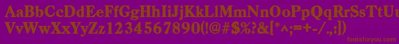 CasadlhBold Font – Brown Fonts on Purple Background