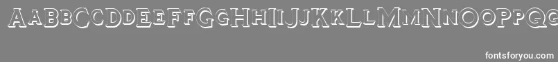 Tinplatetitlingshadowed Font – White Fonts on Gray Background