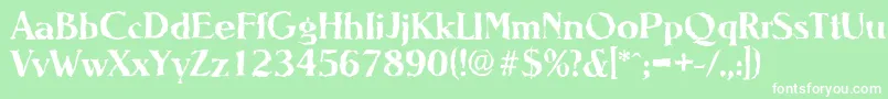 NevadarandomBoldフォントについての詳細 フォントNevadarandomBold – 緑の背景に白い文字