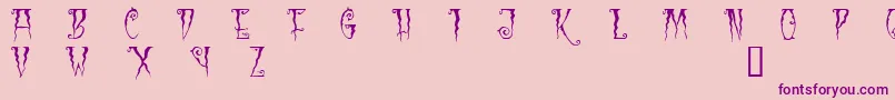 Blc Font – Purple Fonts on Pink Background