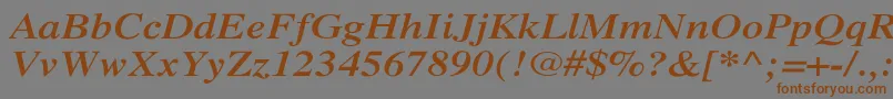 フォントXeroxSerifWideBoldItalic – 茶色の文字が灰色の背景にあります。