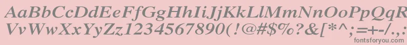 XeroxSerifWideBoldItalic Font – Gray Fonts on Pink Background