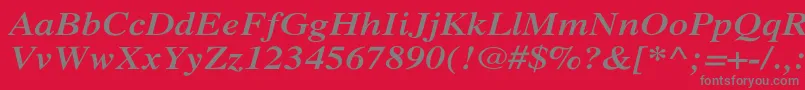 XeroxSerifWideBoldItalic Font – Gray Fonts on Red Background