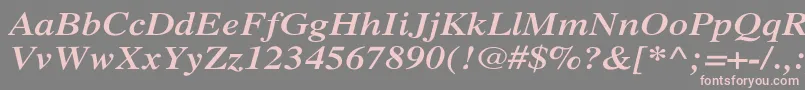 XeroxSerifWideBoldItalic Font – Pink Fonts on Gray Background