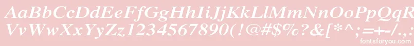 フォントXeroxSerifWideBoldItalic – ピンクの背景に白い文字