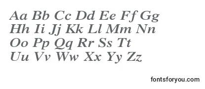 XeroxSerifWideBoldItalic Font