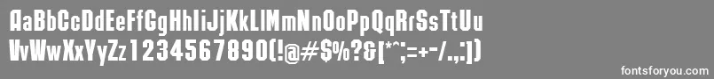 フォントRubicNormal – 灰色の背景に白い文字