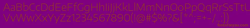 EncodesanswideExtralight Font – Brown Fonts on Purple Background